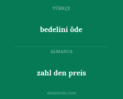 bedelini öde - zahl den preis