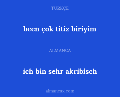 ich bin sehr akribisch - been çok  titiz biriyim