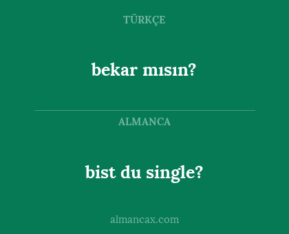 bist du single? - bekar mısın?