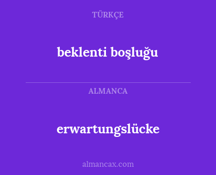 beklenti boşluğu - erwartungslücke