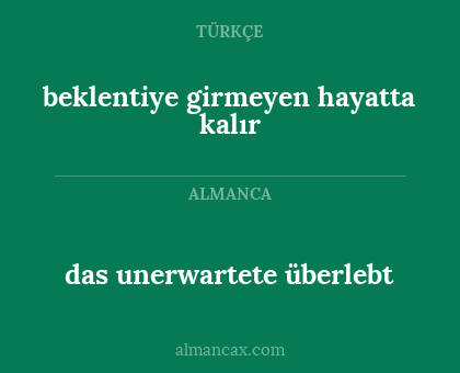 das unerwartete überlebt - beklentiye girmeyen hayatta kalır
