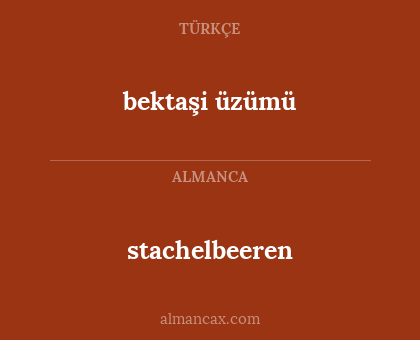 stachelbeeren - bektaşi üzümü