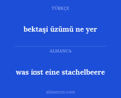was i̇st eine stachelbeere - bektaşi üzümü ne yer
