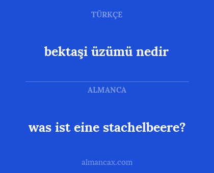 was ist eine
stachelbeere? - bektaşi üzümü nedir