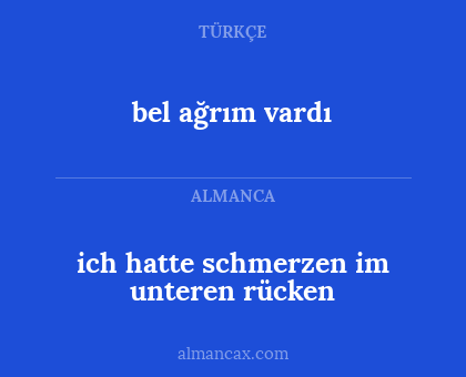 ich hatte schmerzen im unteren rücken - bel ağrım vardı