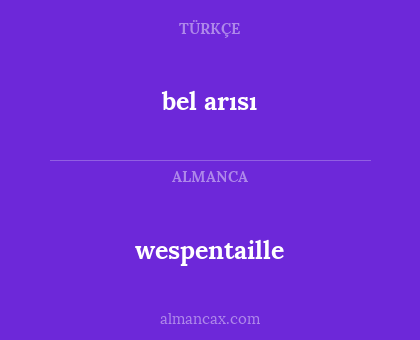 bel arısı - wespentaille