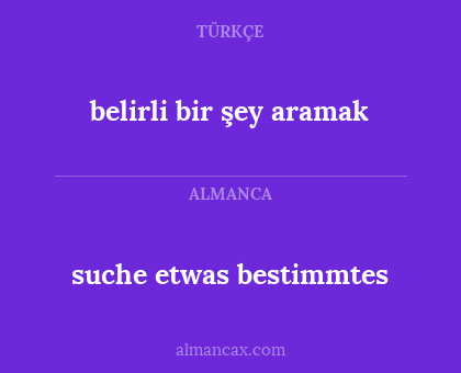 belirli bir şey aramak - suche etwas bestimmtes