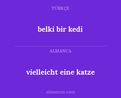 vielleicht eine katze - belki bir kedi