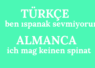 ben+%C4%B1spanak+sevmiyorum-ich+mag+keinen+spinat.png