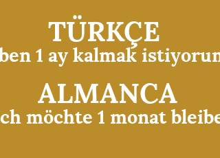 ben+1+ay+kalmak+istiyorum-ich+m%C3%B6chte+1+monat+bleiben.png