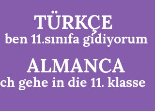 ben+11.s%C4%B1n%C4%B1fa+gidiyorum-ich+gehe+in+die+11.+klasse.png