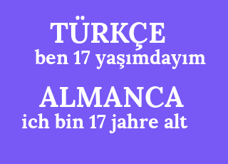 ben+17+ya%C5%9F%C4%B1mday%C4%B1m-ich+bin+17+jahre+alt.png