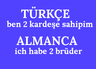 ben+2+karde%C5%9Fe+sahipim-ich+habe+2+br%C3%BCder.png