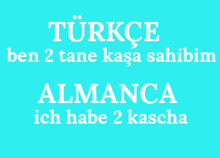ben+2+tane+ka%C5%9Fa+sahibim-ich+habe+2+kascha.png