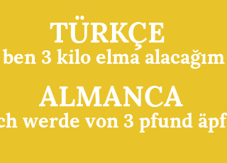 ben+3+kilo+elma+alaca%C4%9F%C4%B1m-ich+werde+von+3+pfund+%C3%A4pfel.png