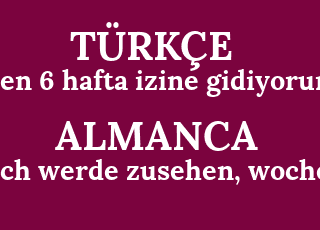 ben+6+hafta+izine+gidiyorum-ich+werde+zusehen%2C+woche+6.png