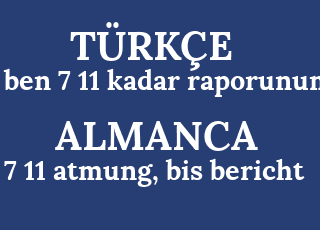 ben+7+11+kadar+raporunum-7+11+atmung%2C+bis+bericht.png