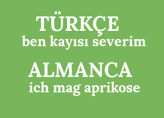 ben+kay%C4%B1s%C4%B1+severim-ich+mag+aprikose.png