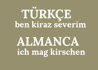 ben+kiraz+severim-ich+mag+kirschen.png