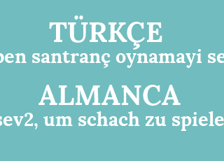 ben+santran%C3%A7+oynamayi+sev2-sev2%2C+um+schach+zu+spielen.png