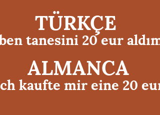 ben+tanesini+20+eur+ald%C4%B1m-ich+kaufte+mir+eine+20+eur.png