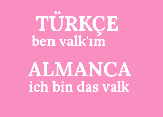 ben+valk%26%2339%3B%C4%B1m-ich+bin+das+valk.png