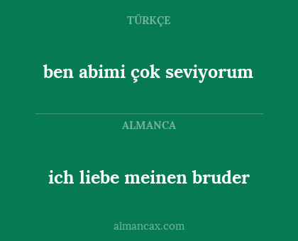 ich liebe meinen bruder - ben abimi çok seviyorum