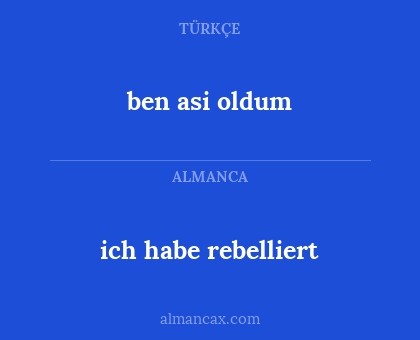 ben asi oldum - ich habe rebelliert