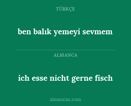 ben balık yemeyi sevmem - ich esse nicht gerne fisch