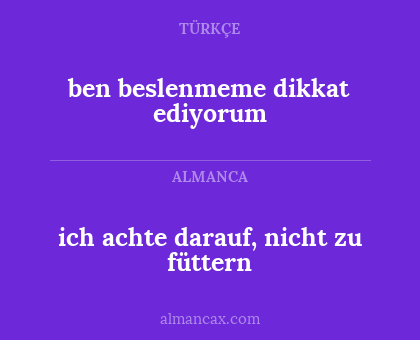 ich achte darauf, nicht zu füttern - ben beslenmeme dikkat ediyorum