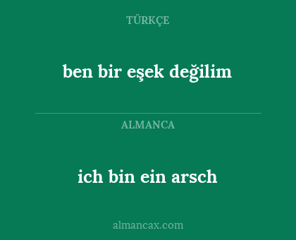 ich bin ein arsch - ben bir eşek değilim
