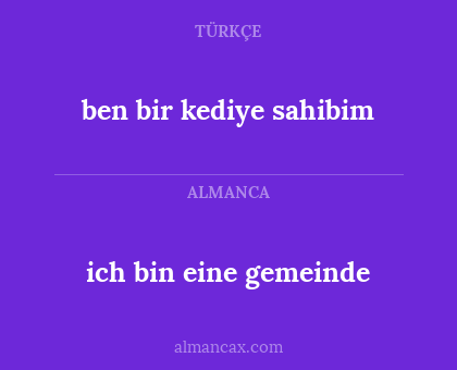 ich bin eine gemeinde - ben bir kediye sahibim