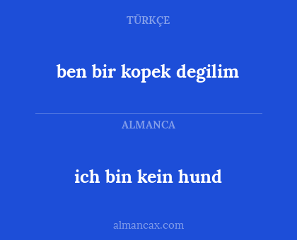 ich bin kein hund - ben bir kopek degilim