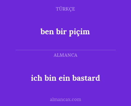 ben bir piçim - ich bin ein bastard