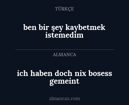 ben bir şey kaybetmek istemedim - ich haben doch nix bosess gemeint