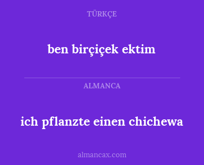 ben birçiçek ektim - ich pflanzte einen chichewa