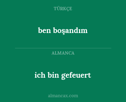ben boşandım - ich bin gefeuert