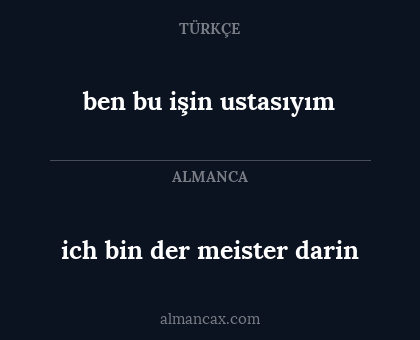 ich bin der meister darin - ben bu işin ustasıyım