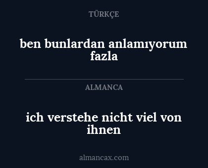 ben bunlardan anlamıyorum fazla - ich verstehe nicht viel von ihnen
