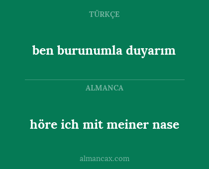 höre ich mit meiner nase - ben burunumla duyarım
