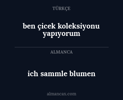 ben çicek koleksiyonu yapıyorum - ich sammle blumen