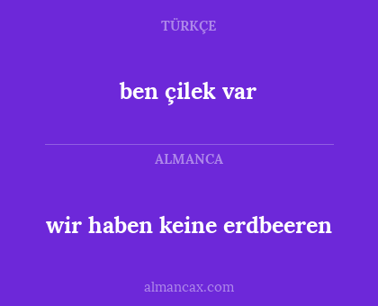 wir haben keine erdbeeren - ben çilek var