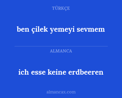 ich esse keine erdbeeren - ben çilek yemeyi sevmem