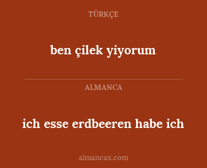 ich esse erdbeeren habe ich - ben çilek yiyorum