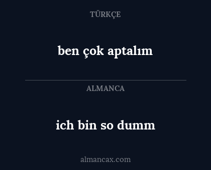 ich bin so dumm - ben çok aptalım