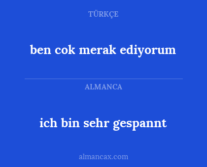 ich bin sehr gespannt - ben cok merak ediyorum