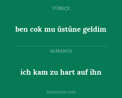 ich kam zu hart auf ihn - ben cok mu üstüne geldim