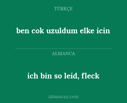 ich bin so leid, fleck - ben cok uzuldum elke icin