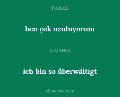 ich bin so überwältigt - ben çok uzuluyorum