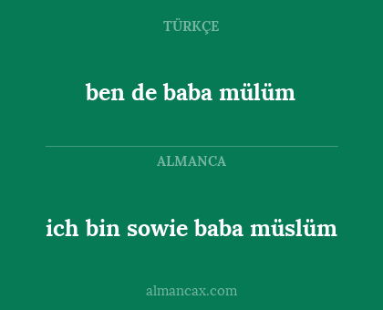 ich bin sowie baba müslüm - ben de baba mülüm